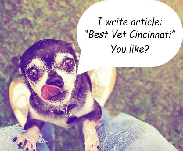 spammy-guest-blogging