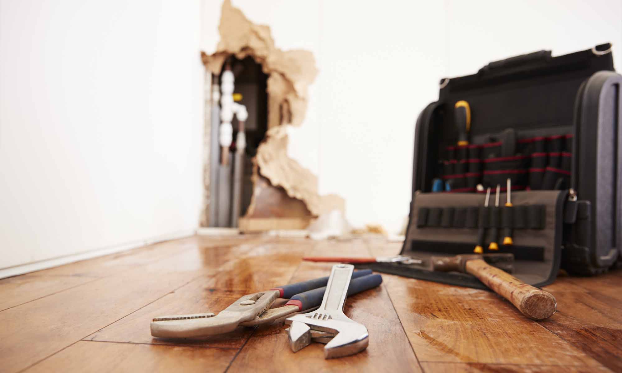 3 SEO Tools That You Can't Live Without