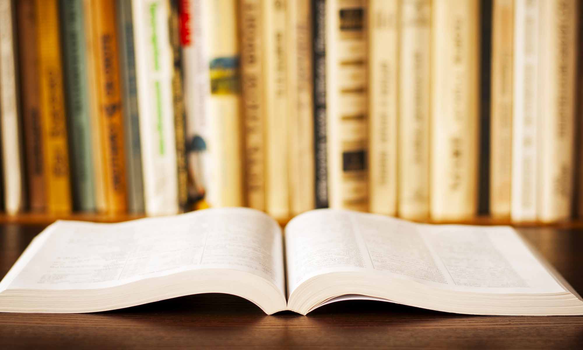 WordPress Pagination in Custom Loop