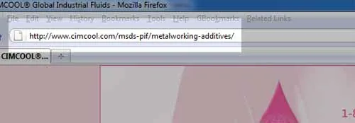 WordPress Custom Query String