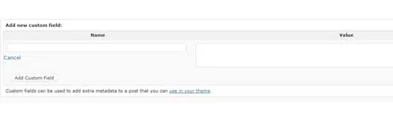 Enter a new custom field in WordPress