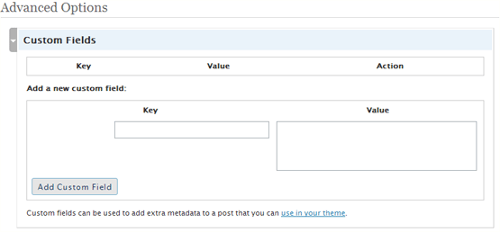 WordPress Custom Fields