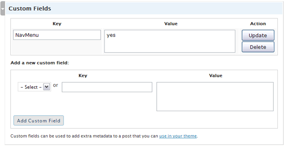 WordPress custom field added